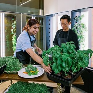 Sustainability