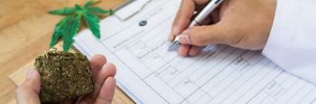 Cannabis Regulation & Quality Assurance