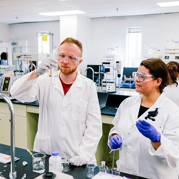 Microbiology Labs