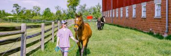 Acute Self-Care for Veterinary Professionals